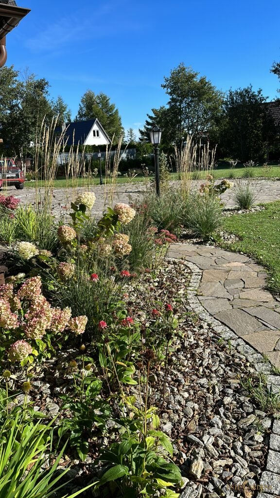 Rabata z hortensjami i trawami przy ścieżce z kamienia, województwo pomorskie