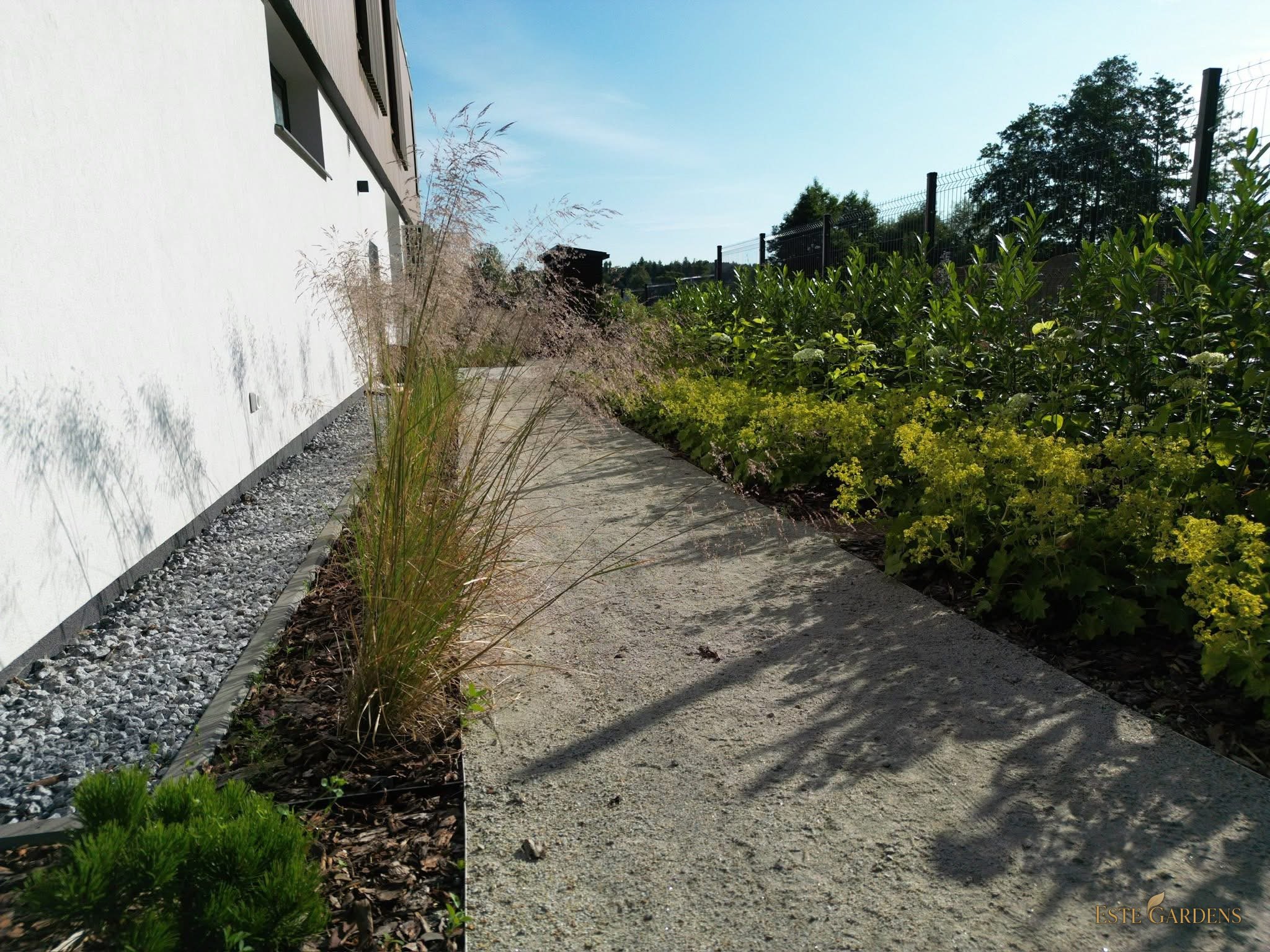Ścieżka wzdłuż domu z rabatą traw ozdobnych – naturalistyczny ogród w Gdańsku Osowej