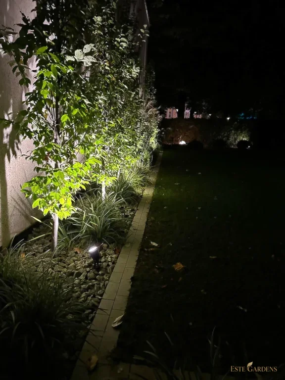 Oświetlenie ogrodu w Gdyni Orłowie wykonane przez Este Gardens – reflektor podświetlający drzewa i trawy przy ścianie domu