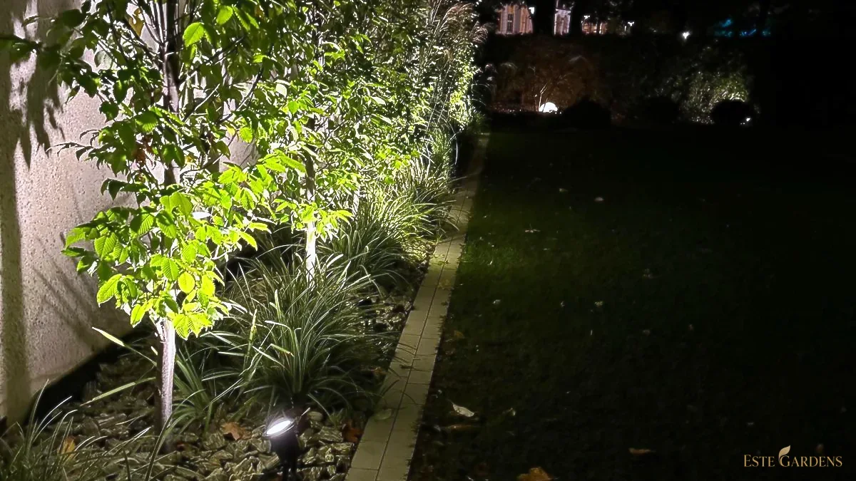 Oświetlenie ogrodu w Gdyni Orłowie wykonane przez Este Gardens – reflektory przy drzewach i trawach