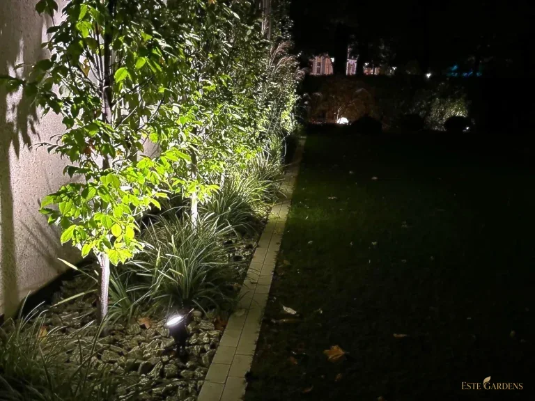Oświetlenie ogrodu w Gdyni Orłowie wykonane przez Este Gardens – reflektor podświetlający drzewa i trawy przy ścianie domu