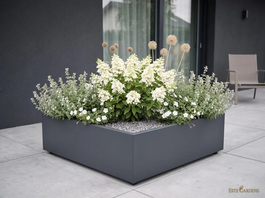 Wizualizacja poglądowa: niska, szeroka donica 80 × 80 × 40 cm z białą hortensją bukietową, kocimiętką i czosnkiem ozdobnym – projekt „Biały taras”, Este Gardens
