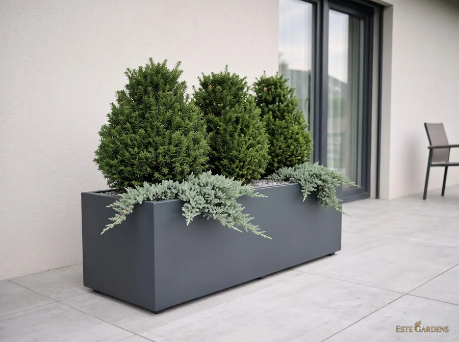 Wizualizacja poglądowa: ocieplana skrzynia 100 × 40 × 40 cm z zimozielonymi cisami i płożącym jałowcem na tarasie – projekt „Zimozielona elegancja”, Este Gardens