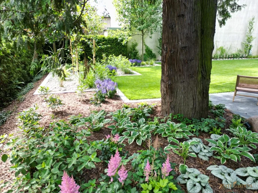 Przykład podobnej rabaty z realizacji Este Gardens w Gdyni-Orłowie: rabata w kształcie litery L z funkiami i tawułkami w półcieniu